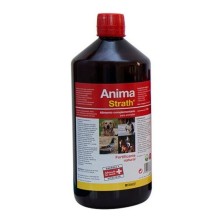 Stangest anima strath suplemento fortificante y reconstituyente 1 l