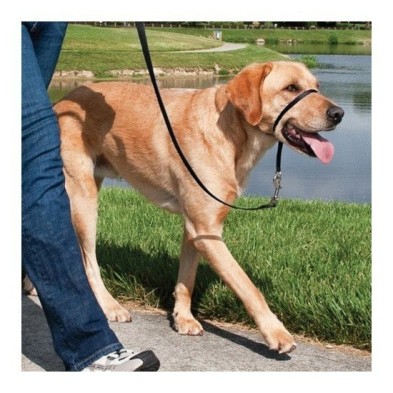 Easy walk collar de manejo para perros negro grande Easy Walk - 1