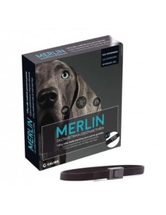 Collar para perros MERLIN