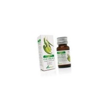 Eucalipto aceite esencial 15ml soria