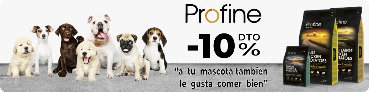 oferta profine